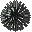 海胆.gif