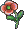 瞿麦.gif
