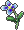 番红花.gif