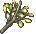 黄月木.gif 黄月木.gif