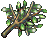 枞.gif 枞.gif