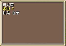 月光草 图片