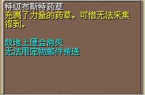 特级布斯特药草 图片
