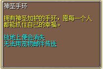 神圣手环 图片
