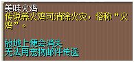 美味火鸡 图片