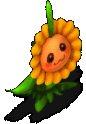 耀阳花（怀旧）