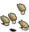 群